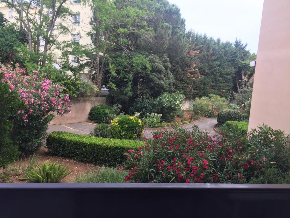 Studio Cabine,4 Personnes ,Renove,Au Calme,200 M De La Plage,Parking Prive Sete Luaran gambar