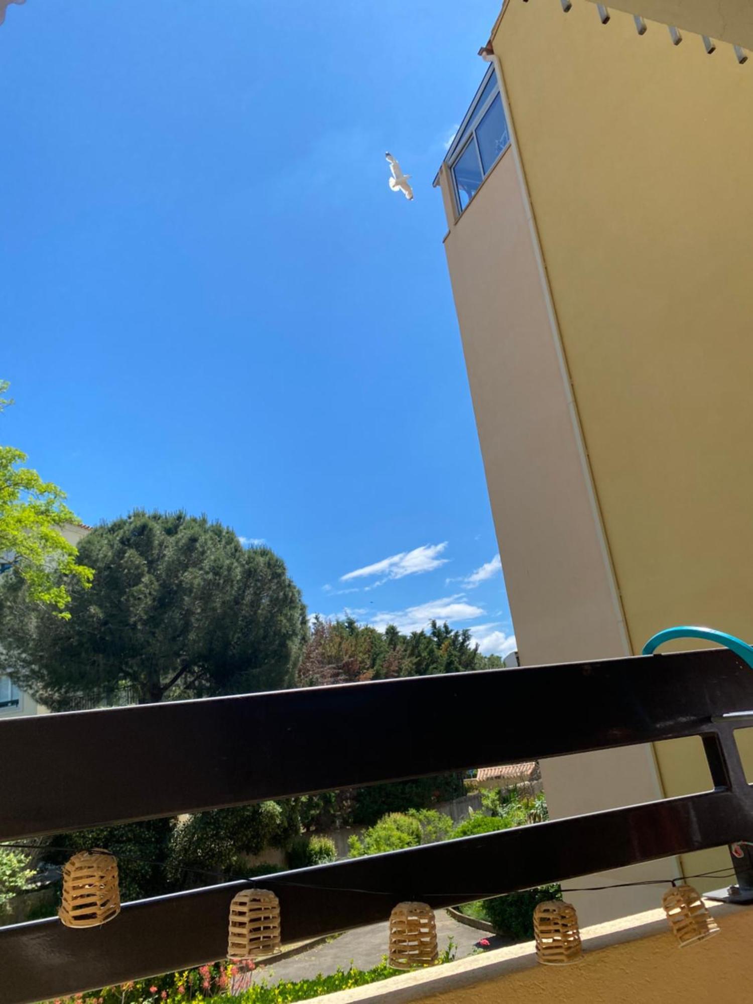 Studio Cabine,4 Personnes ,Renove,Au Calme,200 M De La Plage,Parking Prive Sete Luaran gambar